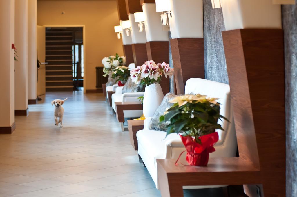Hotel Garni Cristallo Ponte Di Legno Ngoại thất bức ảnh